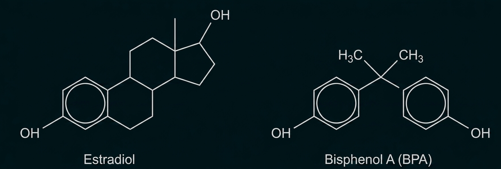 Chemische Strukturformeln von Estradiol und Bisphenol A (BPA) mit Beschriftung.